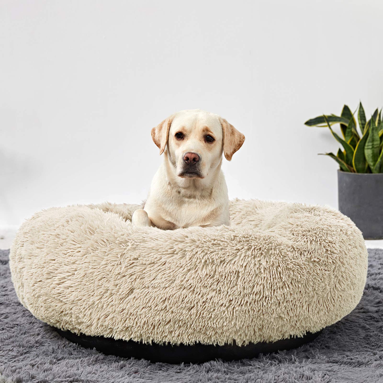 Washable Large Round Donut Dog Bed - Comfy Calming Cuddler Pet Bed for Medium & Large Dogs - Perfect for Anxiety Relief, Crate Training & Cozy Napping
