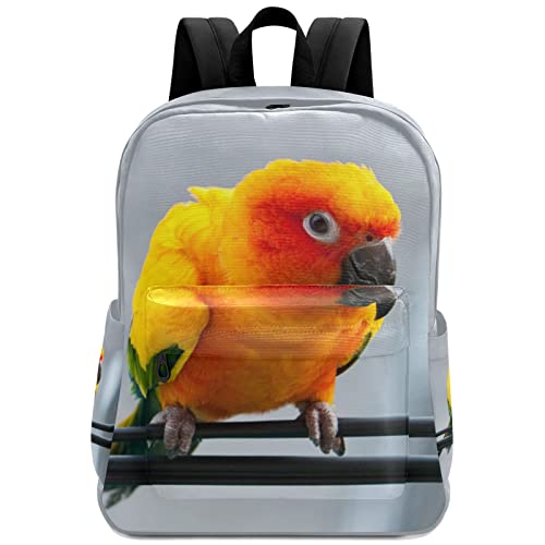 Parrot