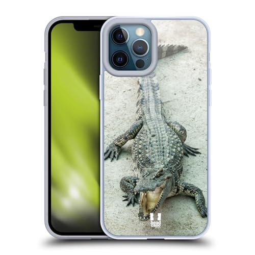 Open-Mouthed Crocodile
