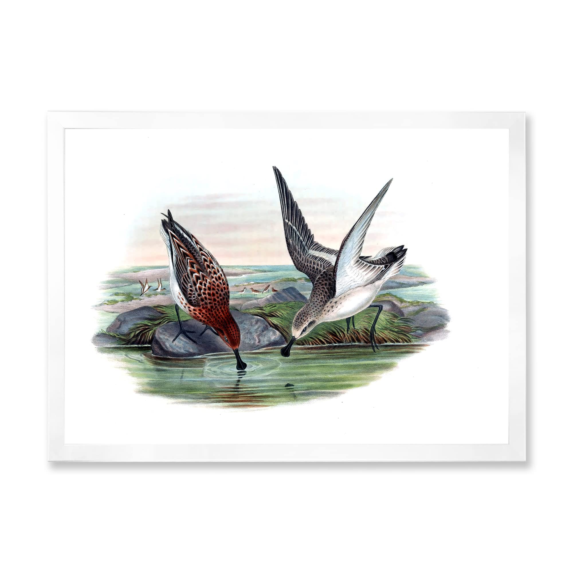 DesignQ Vintage Countryside Animals IV Farmhouse Framed Wall Art - Rustic Home Decor for Living Room, Bedroom & Office