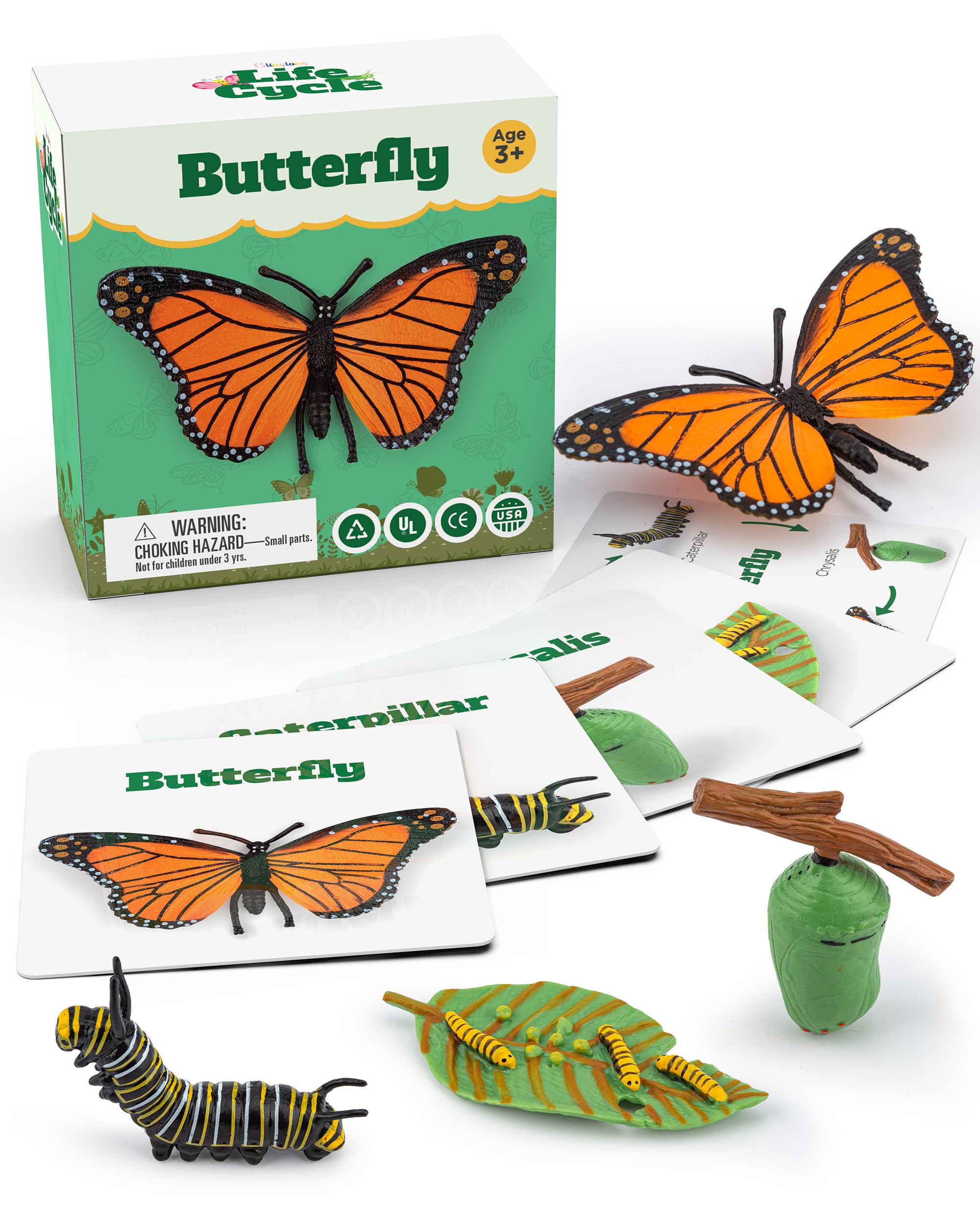 Montessori Life Cycle Kit - Realistic Animal Figurines Toys for Kids, Butterfly & Caterpillar Matching Game - STEM Learning Educational Toys for Children Ages 3+, Perfect for Classroom Science Activities & Birthday Gifts