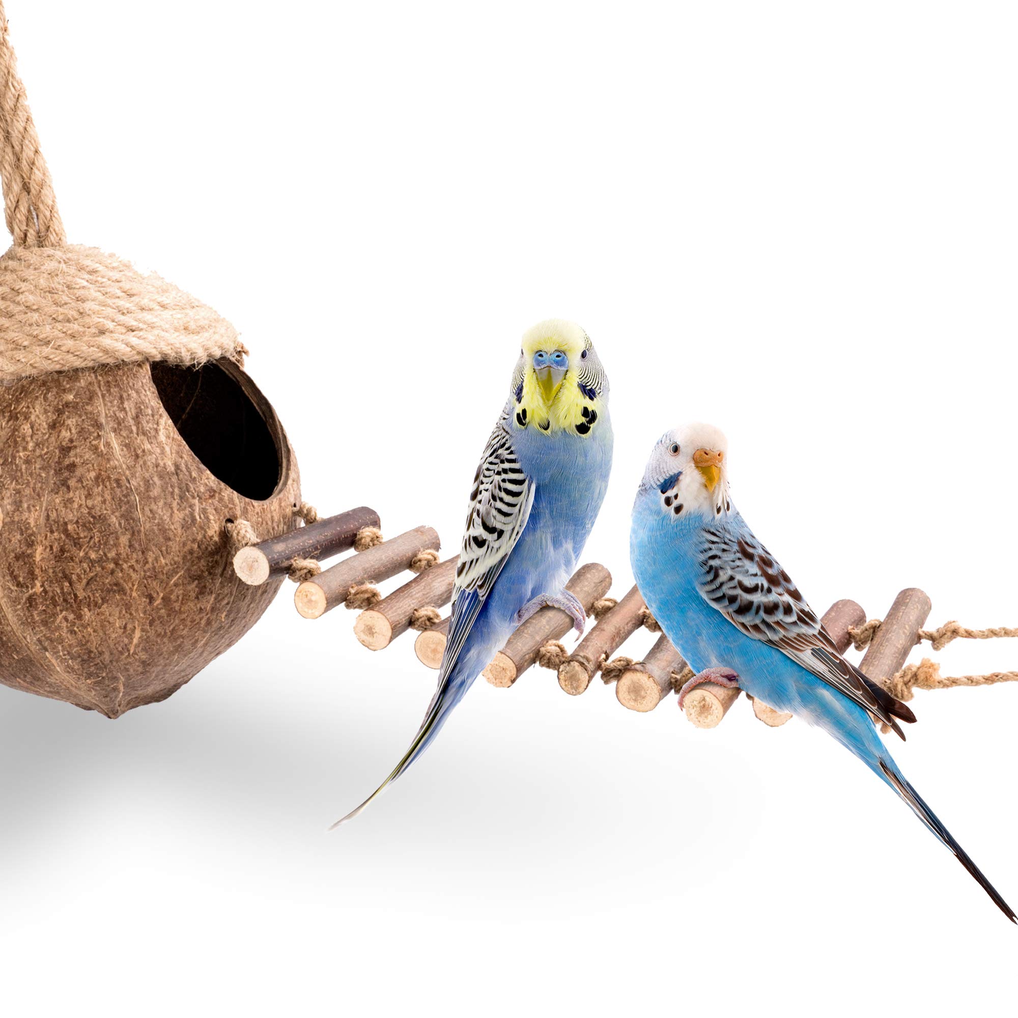 Natural Coconut Bird Nest Hut with Ladder - Perfect for Parrots, Parakeets, Conures & Cockatiels | Small Pet Cage Habitat & Decor | Ideal for Climbing, Resting & Nesting Activities