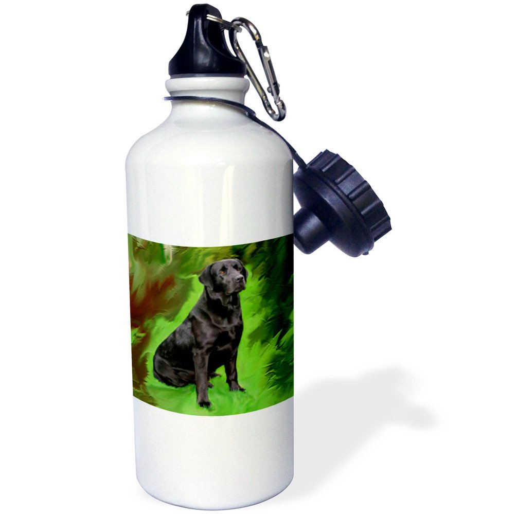 3D Rose Black Labrador Retriever Sports Water Bottle - 21 oz Insulated Stainless Steel Water Bottle with Leakproof Lid - Perfect for Gym, Hiking, Camping & Outdoor Activities