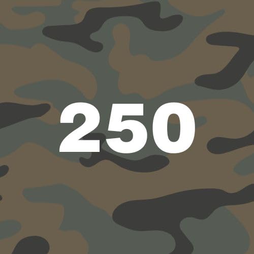 250 Camo