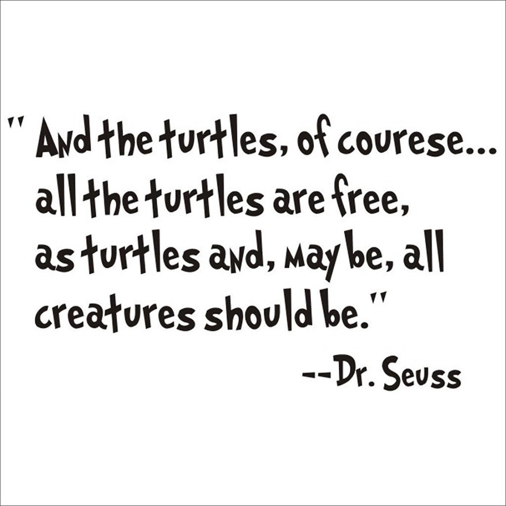 HACASO Inspirational Turtle Wall Decals - 'All The Turtles Are Free' Quote Stickers for Bedroom, Nursery & Home Decor | Perfect for Kids Rooms, Playrooms & Motivational Wall Art