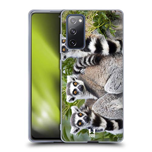 Ring Tailed Lemur