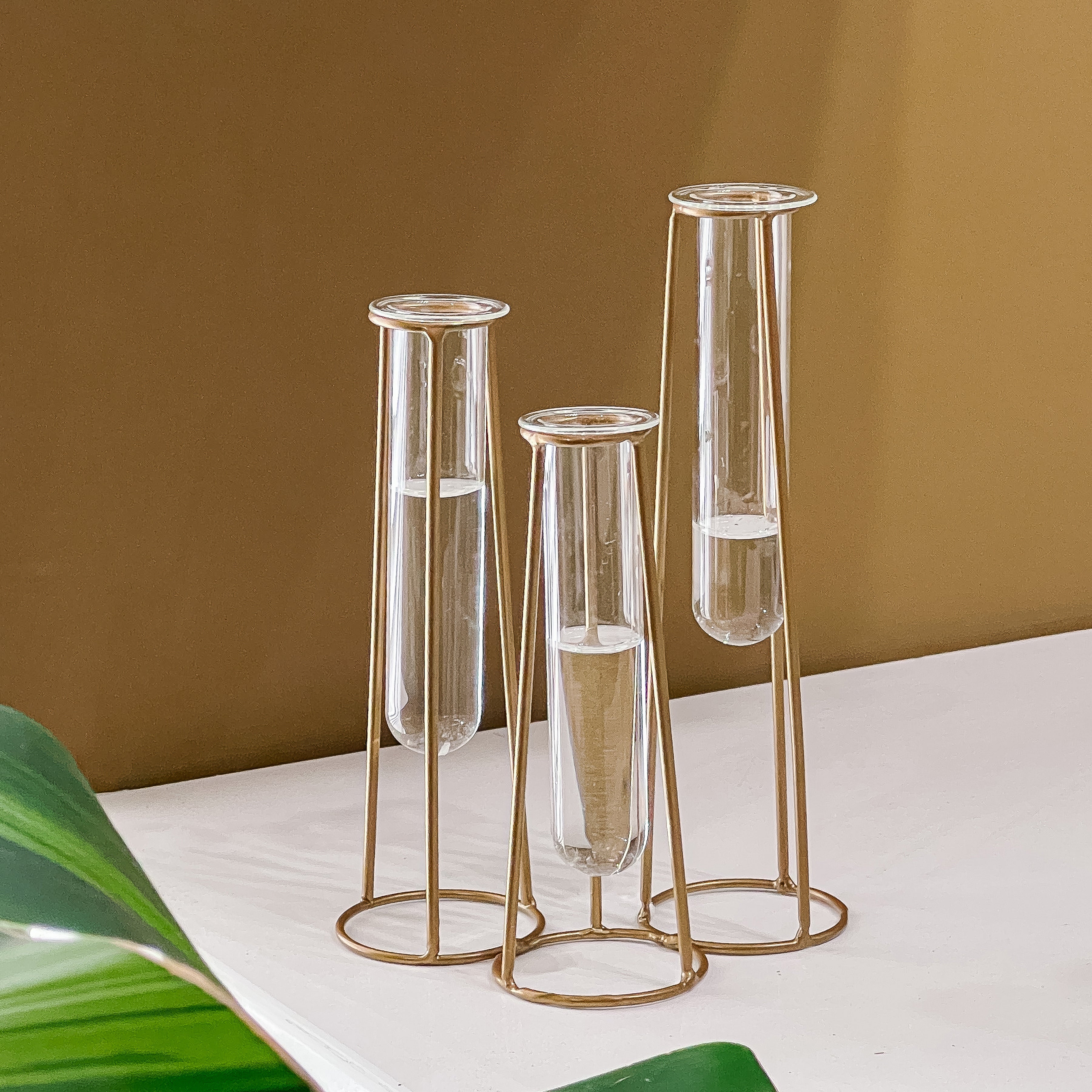 Glass Test Tube Flower Vase - 6 Pack Propagation Station for Plants, Herbs & Flowers | Perfect for Home Decor, Wedding Centerpieces & DIY Gardening Projects