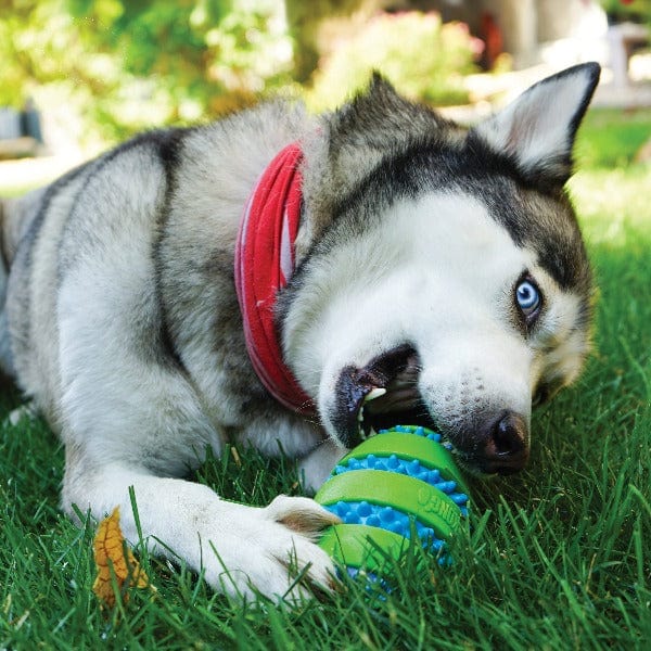 KONG Squeezz Goomz Football Dog Toy - Durable Chew Toy for Medium & Large Dogs - Interactive Fetch & Tug of War Play - Perfect for Outdoor & Indoor Playtime