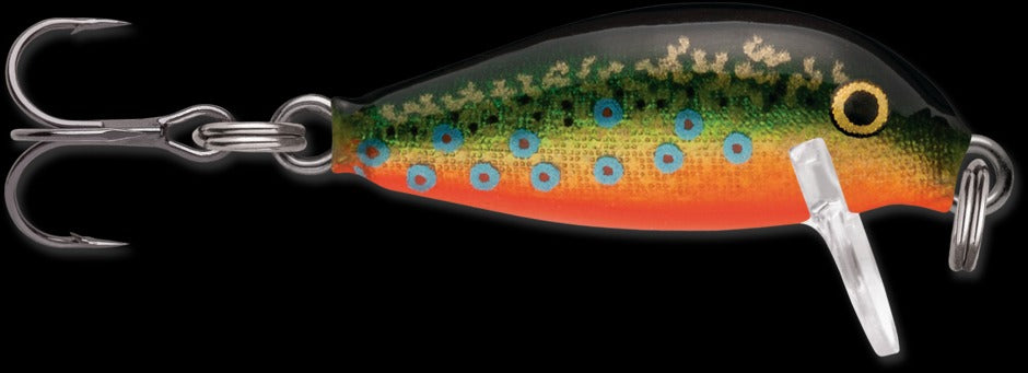 Rapala CountDown Fishing Lures - Premium Crankbaits for Bass, Trout & Walleye - Ideal for Freshwater & Saltwater Fishing