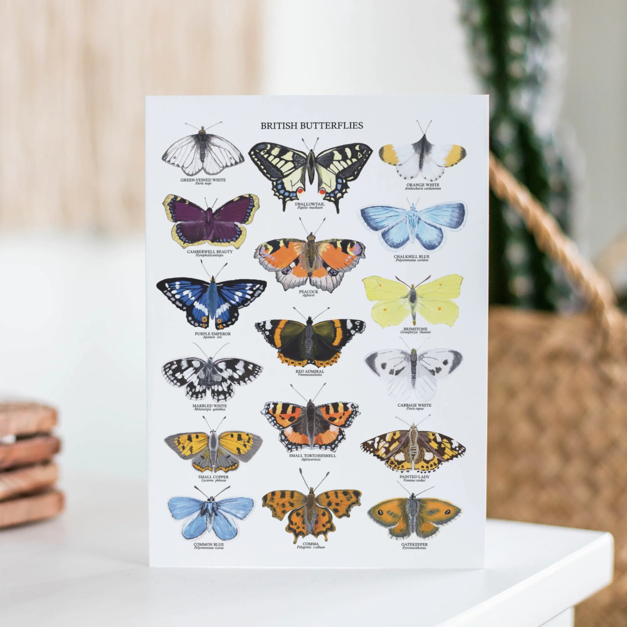 British Butterflies Greetings Card - Elegant Floral Design for Birthday, Anniversary & Thank You Cards - Perfect for Special Occasions & Gifts