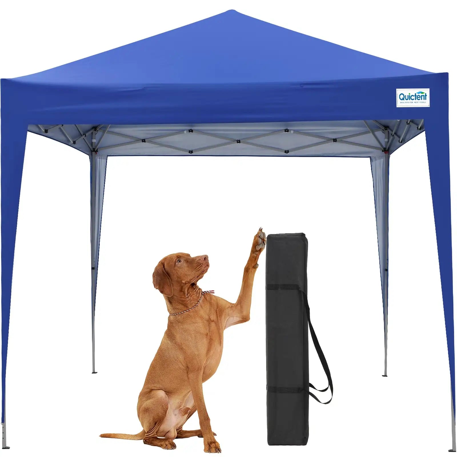 10' x 10' EZ Up Pop Up Canopy Tent with No Side Walls - Instant Shelter for Outdoor Events, Camping, Beach, Backyard Parties & Farmers Markets