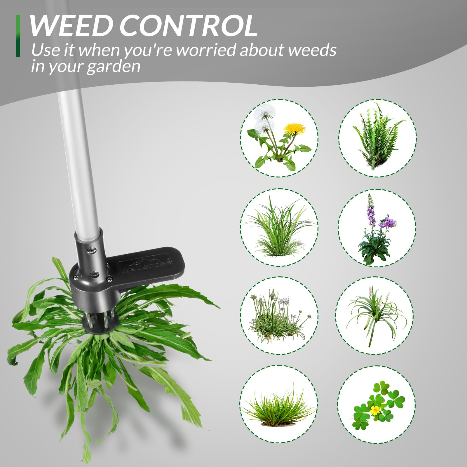 Upgraded Walensee Weed Puller Tool - 5-Claw Stand Up Weeder with Long Handle for Dandelions & Garden Weeds - Ergonomic Root Pulling Tool for Easy Lawn Care & Gardening (1 Pack) - Perfect for Home Gardens, Yards, and Landscaping Maintenance