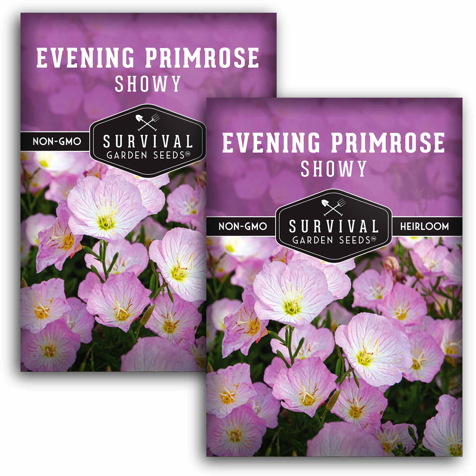 Showy Evening Primrose Seeds - Grow Beautiful Pink Flowers for Garden Landscaping & Pollinator Gardens