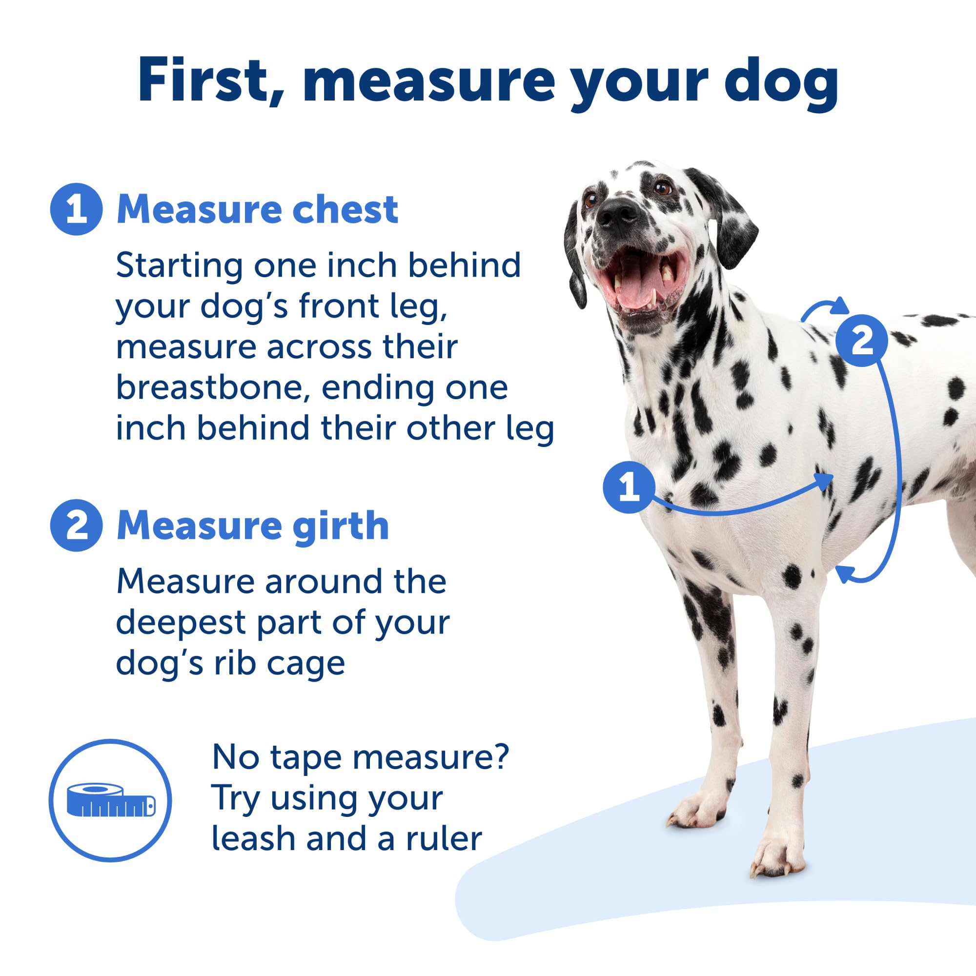 PetSafe Easy Walk No-Pull Dog Harness for Medium/Large Dogs - Stop Pulling & Improve Leash Training - Comfortable Apple Green/Gray Harness for Walking, Hiking & Outdoor Adventures