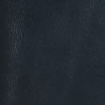 Midnight Black