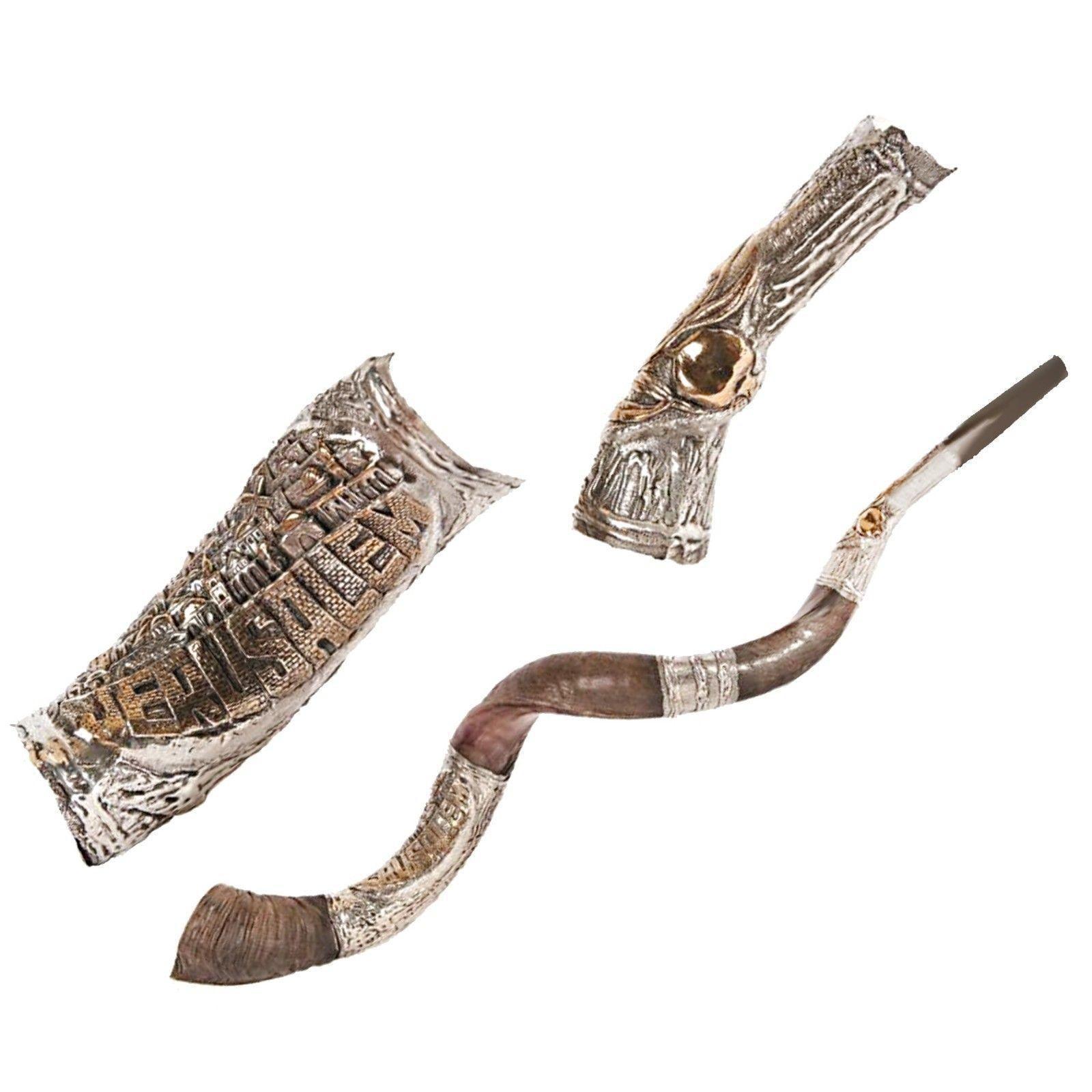 Natural Kosher Yemenite Shofar Kudu Horn - Silver Plated 100-109 cm - Perfect for Jewish Ceremonies, Religious Events & Spiritual Practices