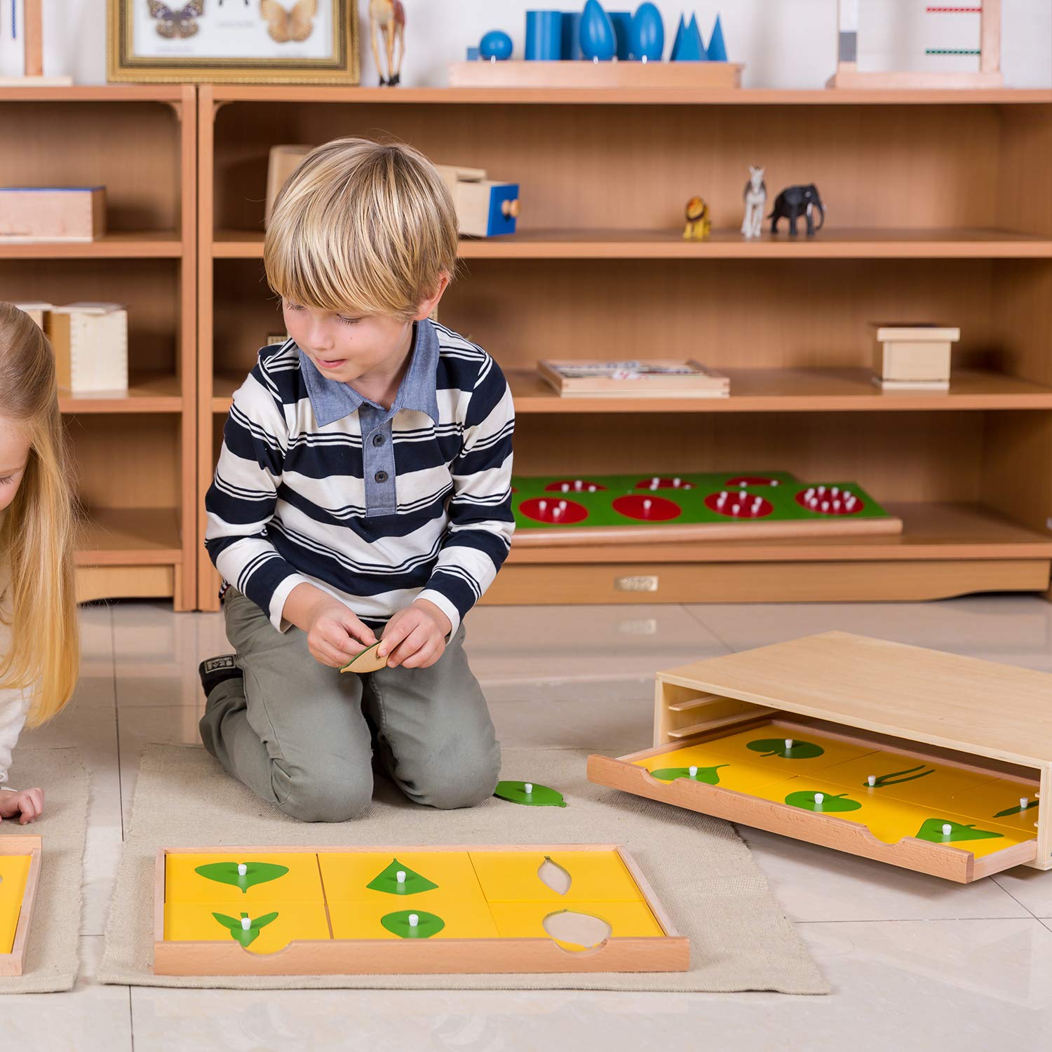 Montessori Botany Cabinet - Wooden Plant Puzzle for Kids, Educational Learning Toy for Preschool Classroom & Homeschool (Perfect for Nature Study, Science Activities)