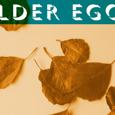 Alder Ego LP III - Premium Acoustic Guitar for Professional Musicians & Performers | Perfect for Live Concerts, Studio Recording & Home Practice