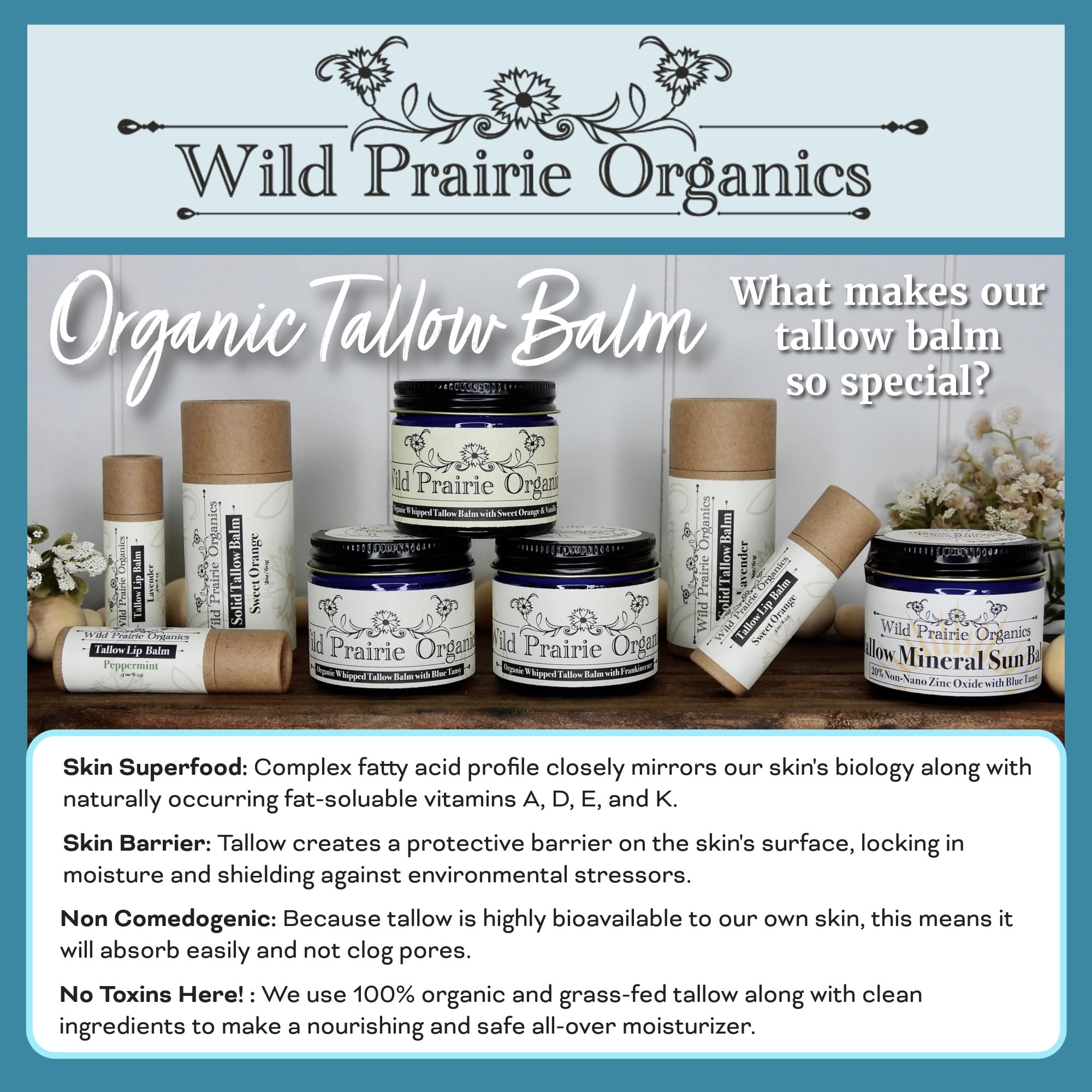 Organic Tallow Lip Balm for Dry Lips - Natural Hydrating & Soothing Lip Care Moisturizer - 0.3oz Peppermint Flavor in Eco-Friendly Cardboard Tube - Perfect for Winter, Hiking & Daily Lip Protection