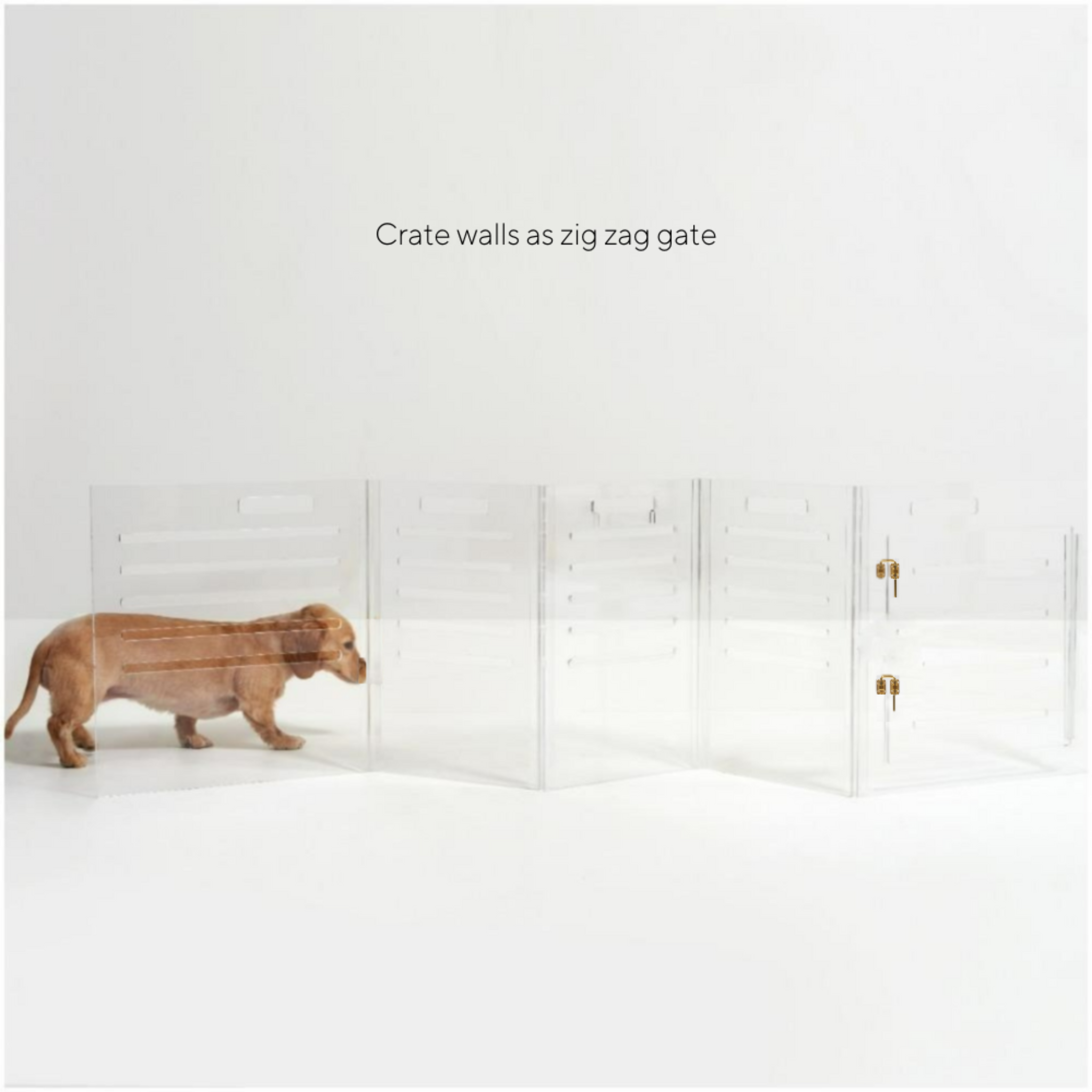 Clear Plastic Dog Crate with Removable Gate - Portable Pet Carrier for Small to Medium Dogs - Perfect for Travel, Training & Home Use