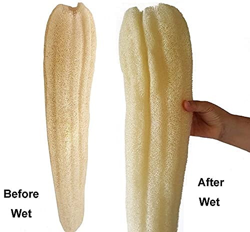 Organic Loofah Body Scrubber Pack of 12 - Natural Exfoliating Sponge for Men & Women - Eco-Friendly Luffa Bath Sponge for Smooth Skin - Perfect for Shower, Spa & Daily Skincare Routine