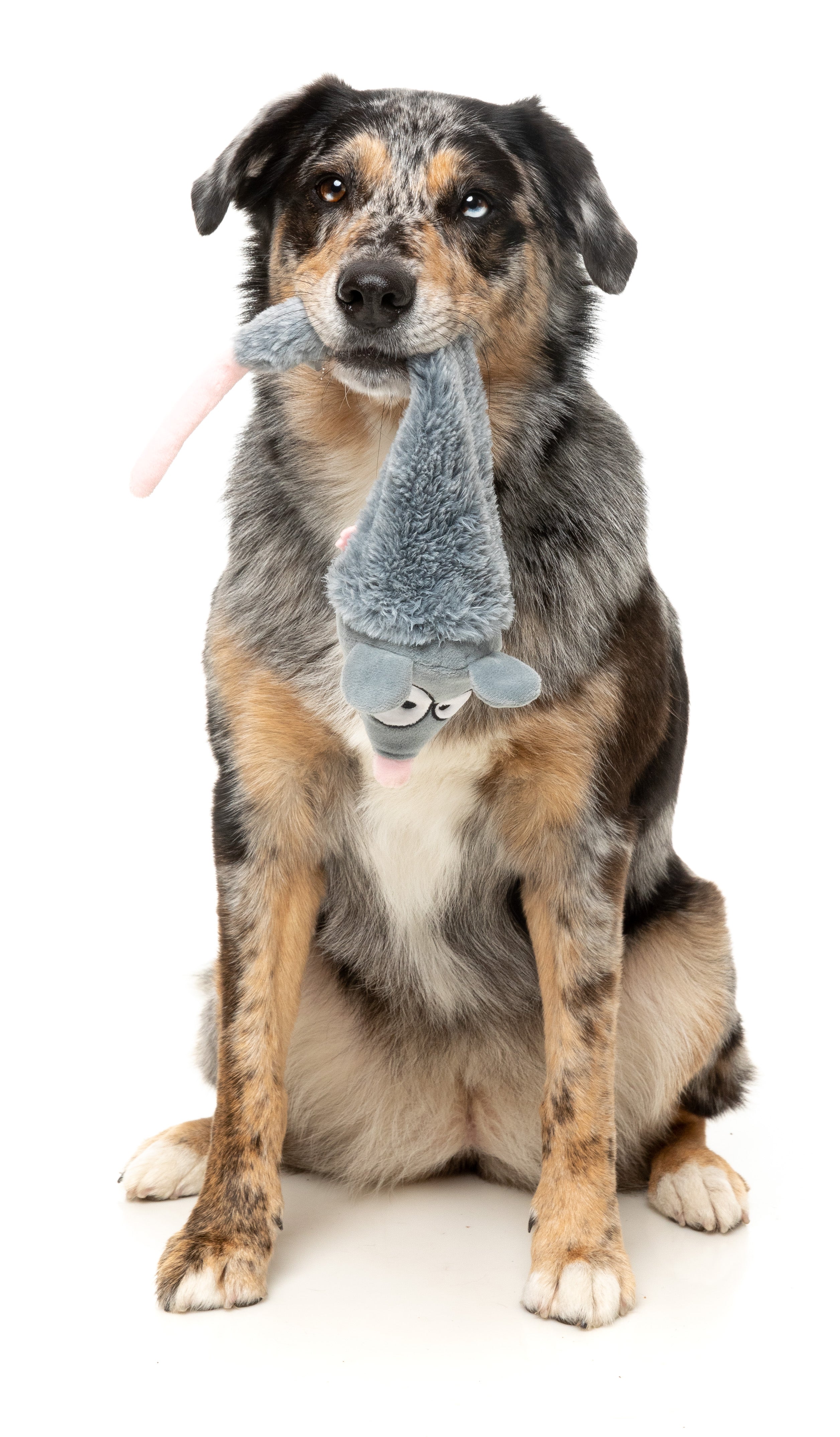 FuzzYard The Yeetz Swing and Throw Plush Dog Toy - Rack Off Rat - Interactive Fetch Toy for Small & Medium Dogs - Perfect for Indoor Play, Outdoor Fetch, and Training Sessions
