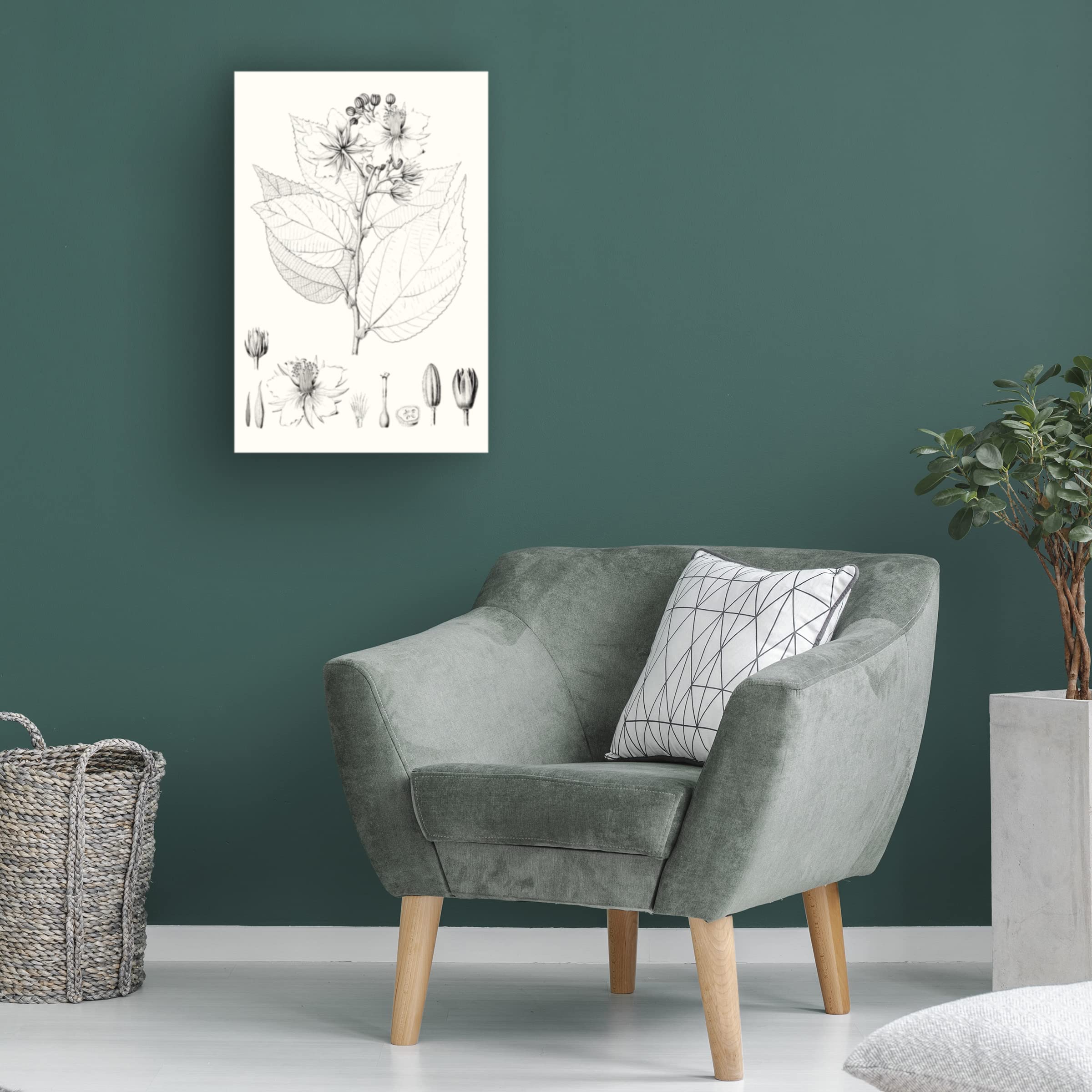 Trademark Fine Art 'Illustrative Leaves III' Canvas Wall Art Print by Vision Studio - Perfect for Living Room, Bedroom & Office Decor