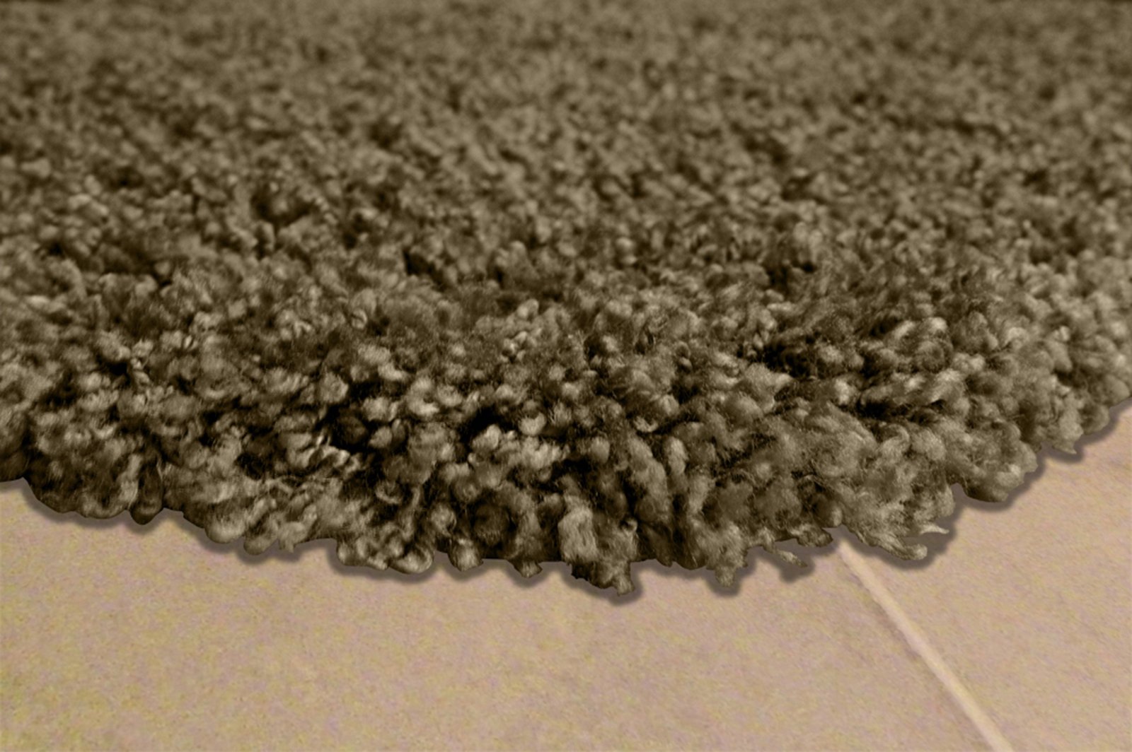 Garland Rug Serendipity Shaggy Washable Nylon Area Rug - Soft Plush Floor Carpet for Living Room, Bedroom & Nursery Decor