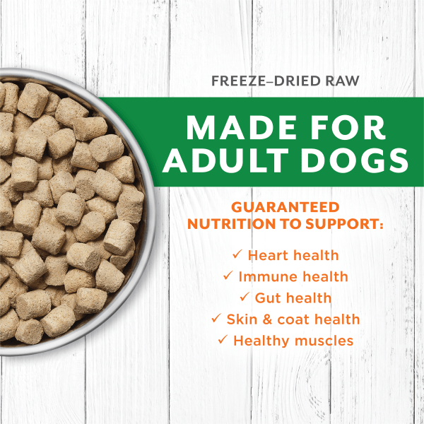 Instinct Raw Longevity Lamb Recipe 100% Freeze Dried Dog Food - 9.5oz | Grain-Free, High-Protein Natural Dog Treats for Small & Large Breeds | Perfect for Training, Travel & Senior Dogs