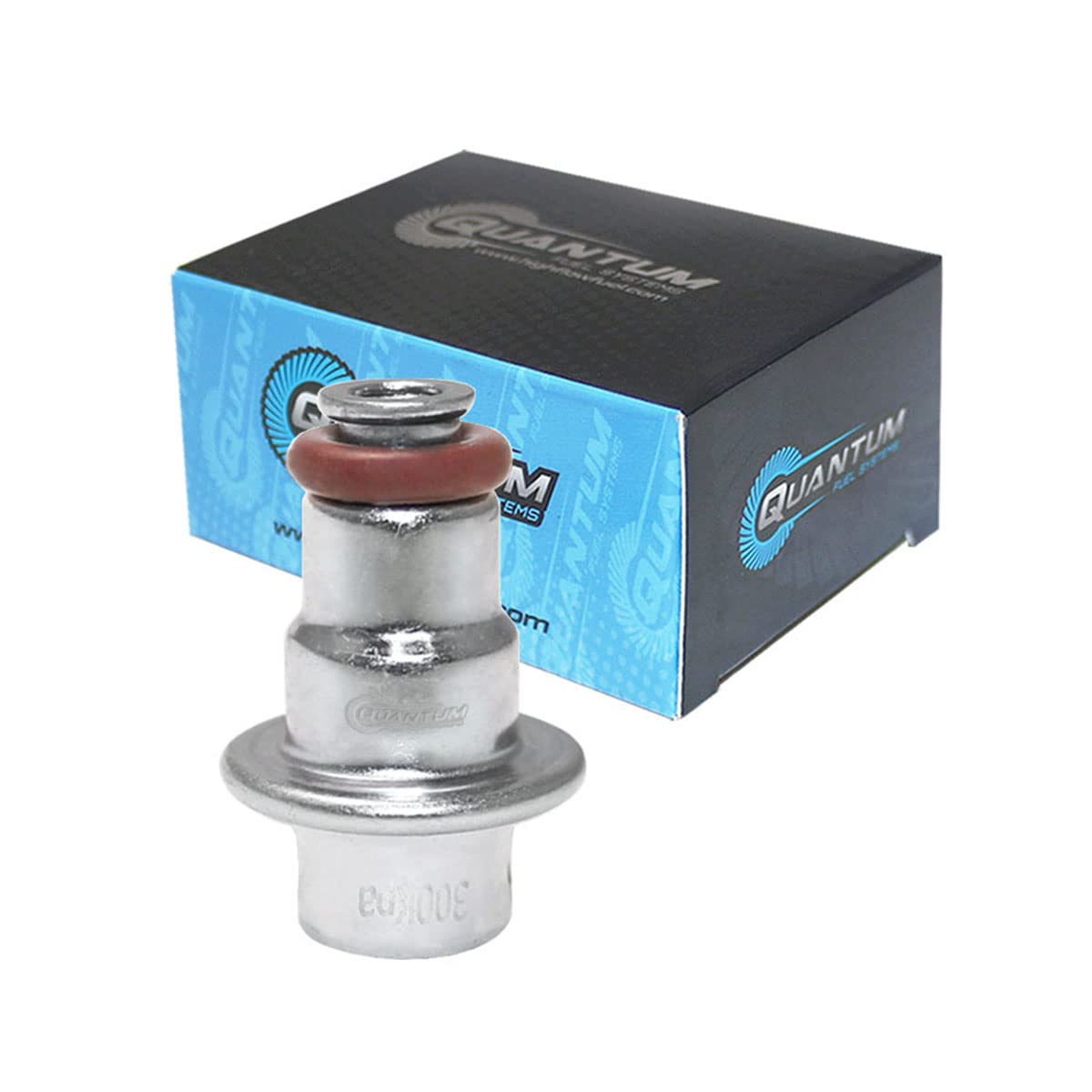 High Performance QFS In-Tank EFI Fuel Pump with Fuel Pressure Regulator & Strainer - Compatible with 2005-2009 Aprilia Pegaso 650 / RXV SXV 450 550 - Perfect for Motorcycle Fuel System Upgrades & Off-Road Performance Enhancement