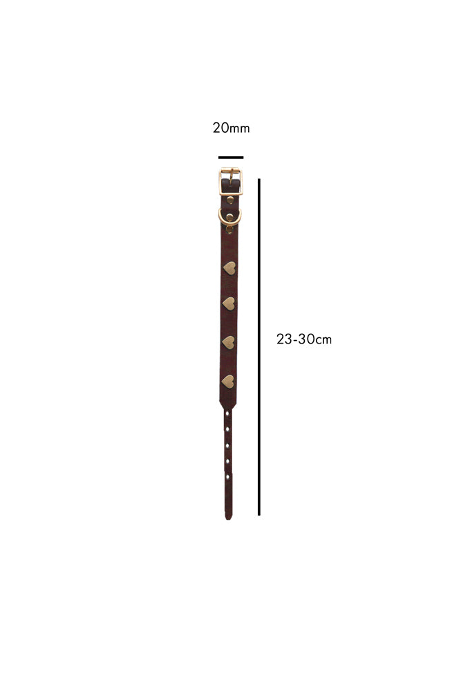 Premium Brown Leather Dog Collar with Heart Decor - Adjustable Sizes (XS-XL) for Small to Large Dogs | Perfect for Walks, Training & Fashion Accessories