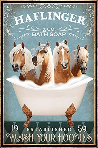 Haflinger Horse