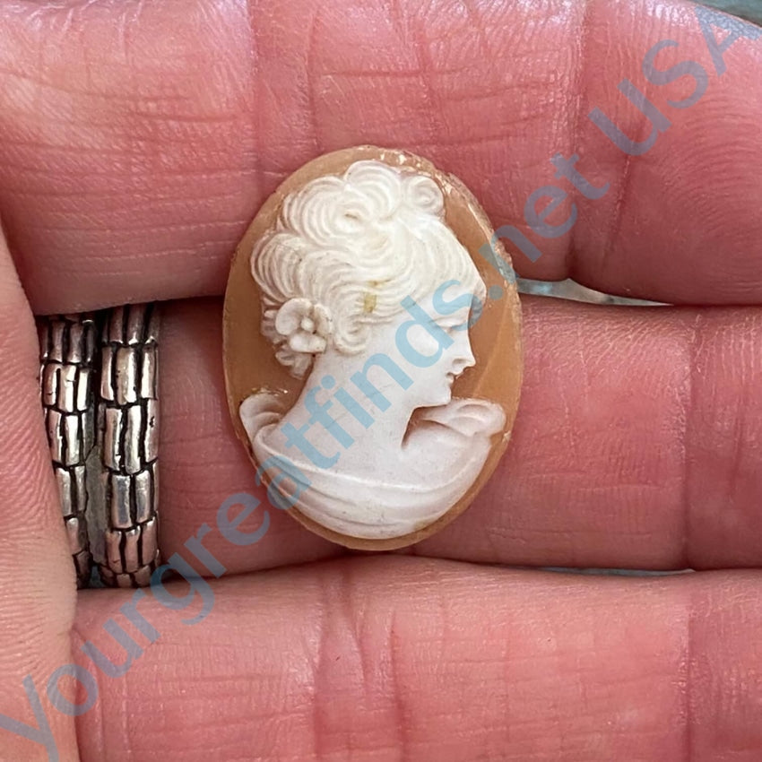 Vintage Hand Carved Italian Shell Cameo Pendant - Unset Jewelry for Necklace Making, DIY Crafting & Gift Giving