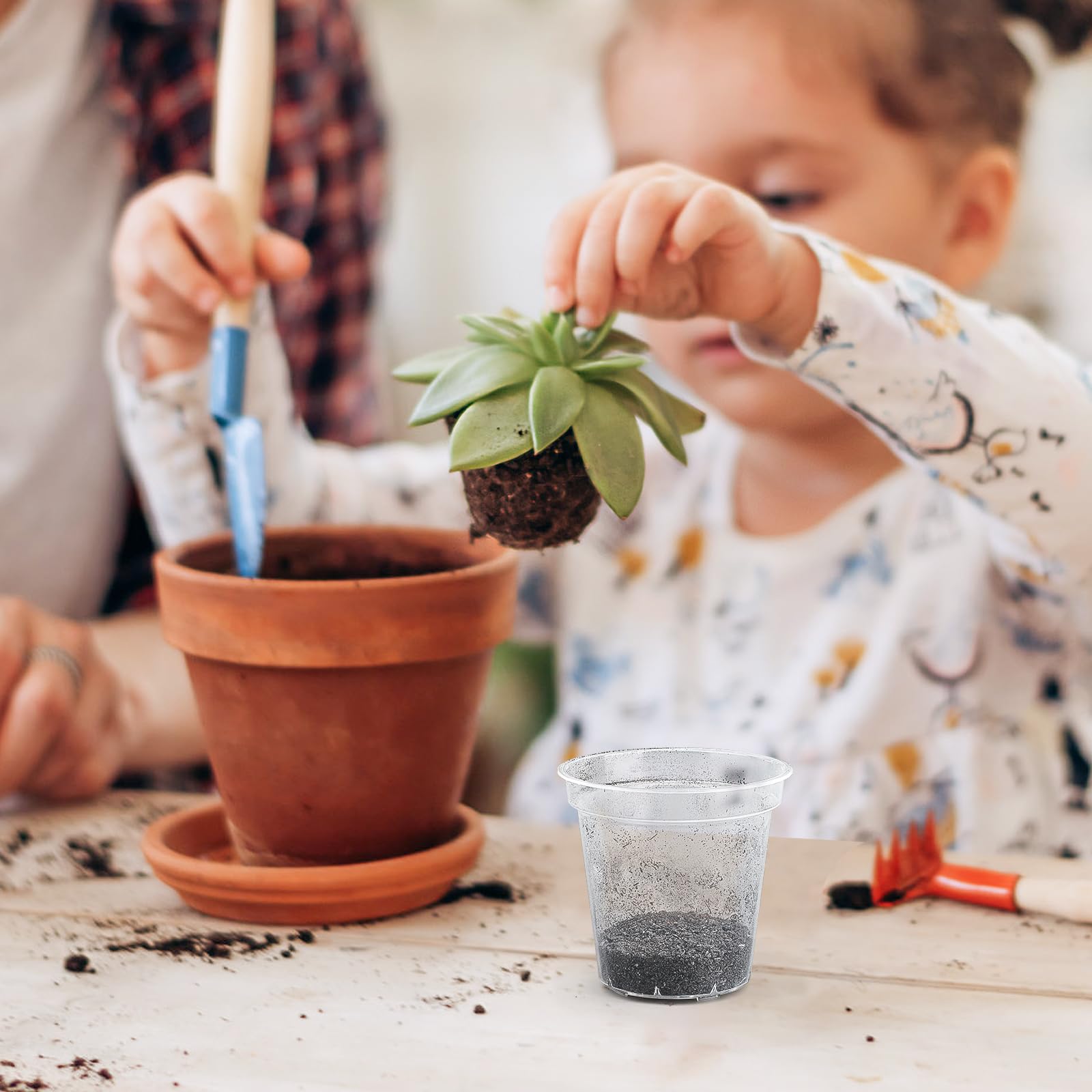 GREANER 60 Pack 3 Inch Clear Plastic Nursery Pots with Drainage Holes - Reinforced Seed Starter Pots for Indoor & Outdoor Plants - Includes 20 Plant Labels (Transparent) - Perfect for Gardening, Seedlings, Succulents & Herbs
