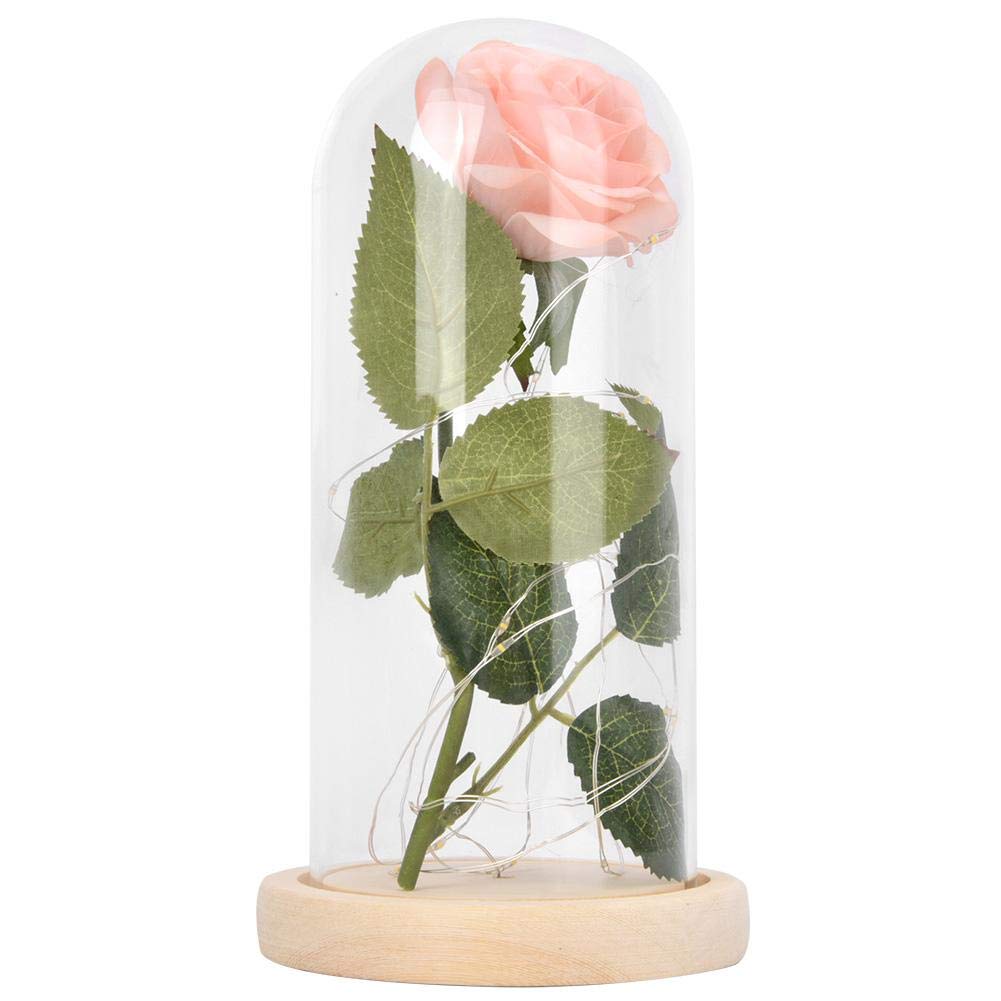 Enchanted Beauty and The Beast Rose LED Light with Glass Dome - Champagne Pink Floral Night Light for Valentine's Day, Wedding Anniversary, Home Decor & Romantic Gifts