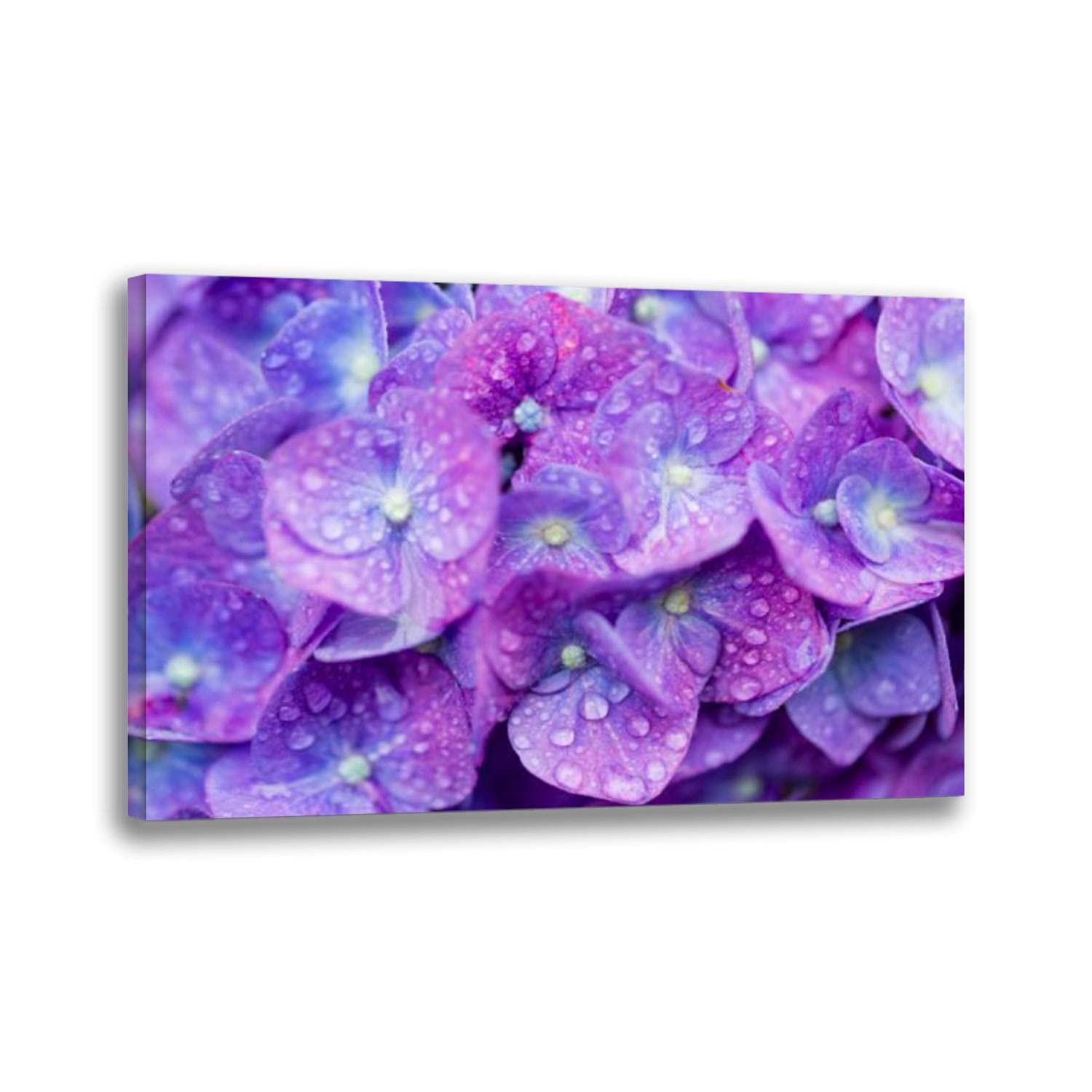 Purple Hydrangea Flower Canvas Wall Art - Framed Stretched Water Drop Floral Painting Print - Ready to Hang Home & Office Décor - Perfect for Living Room, Bedroom, Kitchen or Workspace Wall Decorations