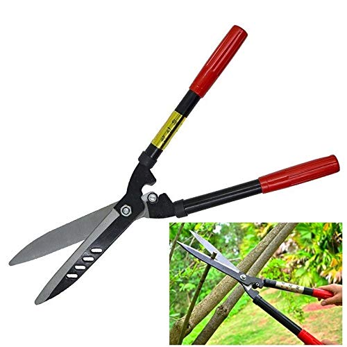 Sharp Garden Pruning Shears with Non-Slip Handle - Professional Branch Cutter for Flowers, Grafting & Tree Trimming - Essential Hand Pruner for Every Home Gardening & Landscaping Needs