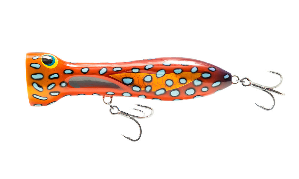 Coral Trout