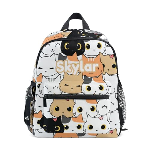 Custom Cat