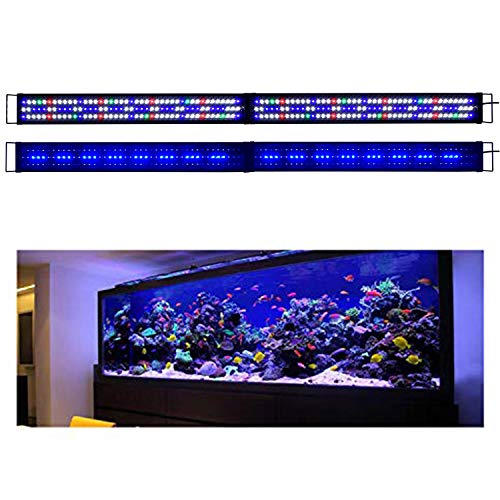 Full Spectrum 72-84 inch