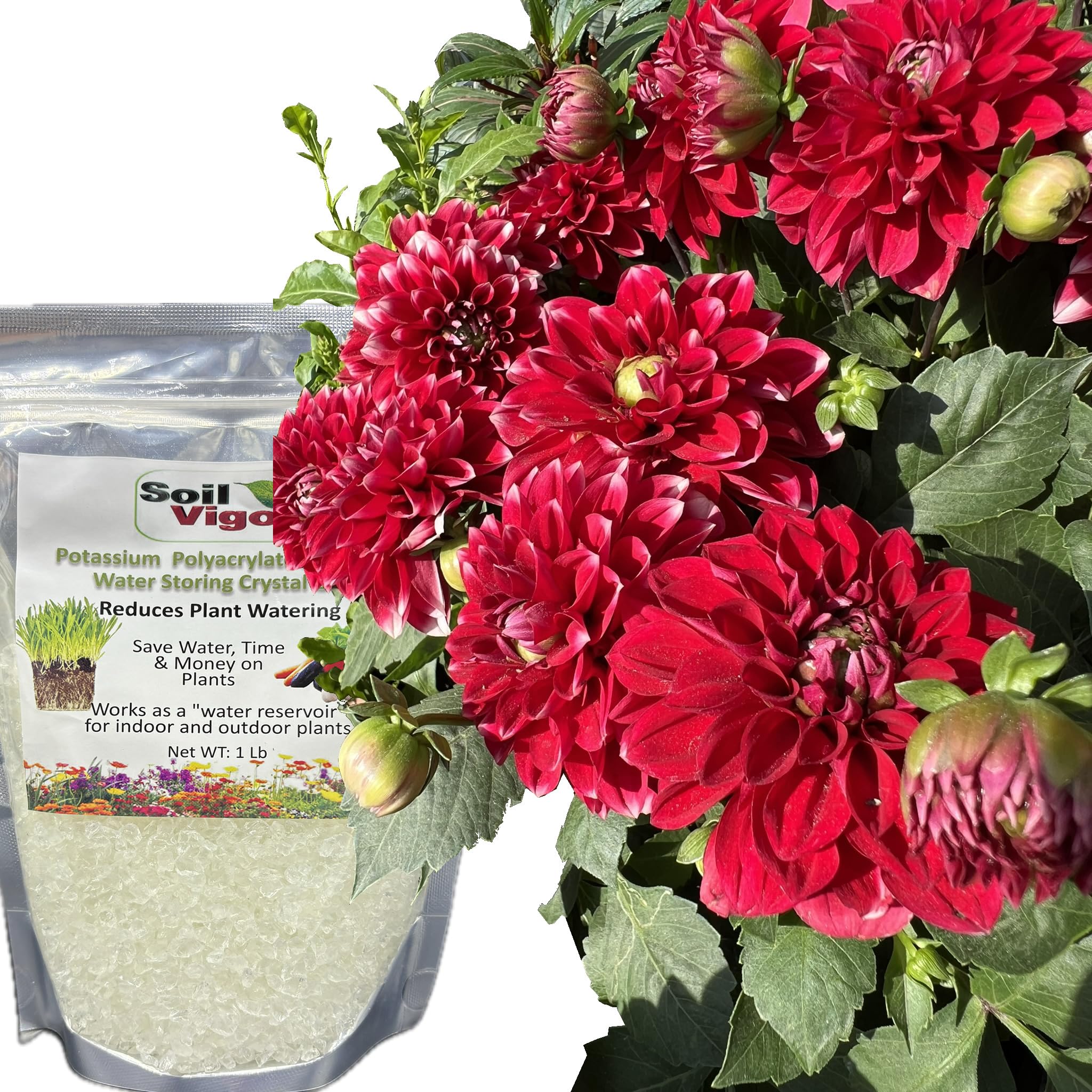 Premium Water Storing Crystal Soil Additive - Commercial Grade Hydrogel for Plants (2 Pack) | Ideal for Indoor/Outdoor Gardening, Landscaping & Drought-Resistant Plant Care
