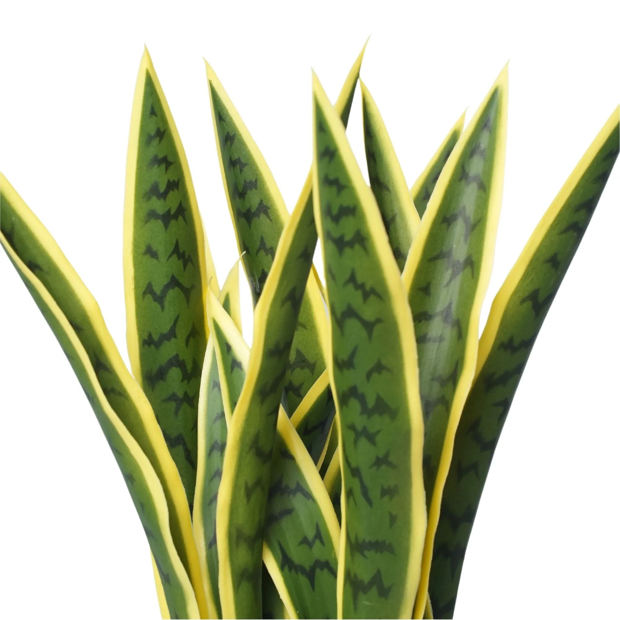 UV Resistant Artificial Snake Plant - 39 Inch Faux Mother-in-Law's Tongue for Home & Office Decor | Perfect for Living Room, Bedroom, and Indoor Spaces