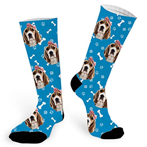 Navy Blue Dog