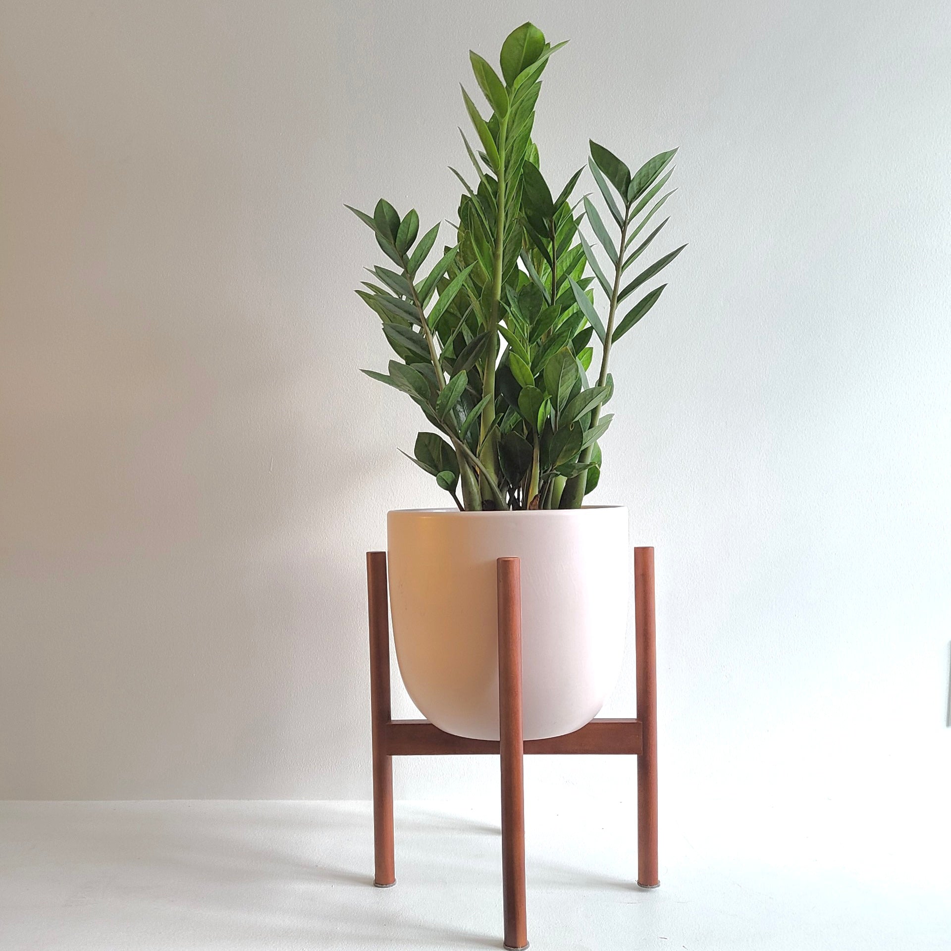 Modern Plant Stand for Indoor Plants - Sturdy & Stylish Home Decor for Living Room, Bedroom, or Office - Peach & Pebble