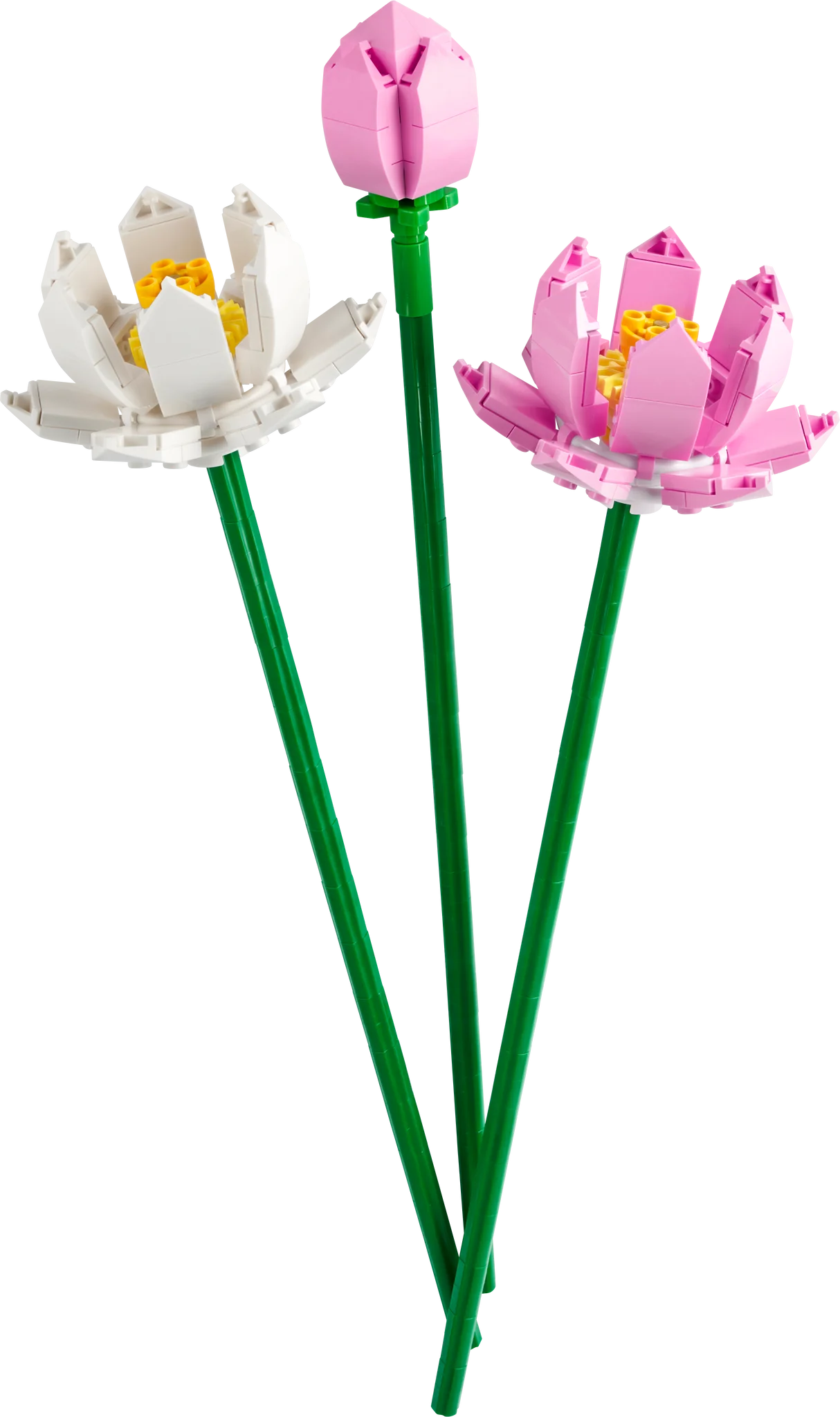 LEGO® Icons: Lotus Flowers Building Kit - Creative DIY Flower Model for Home & Office Decoration | Perfect Gift for Adults & Teens | Relaxing Building Experience for Stress Relief & Mindfulness