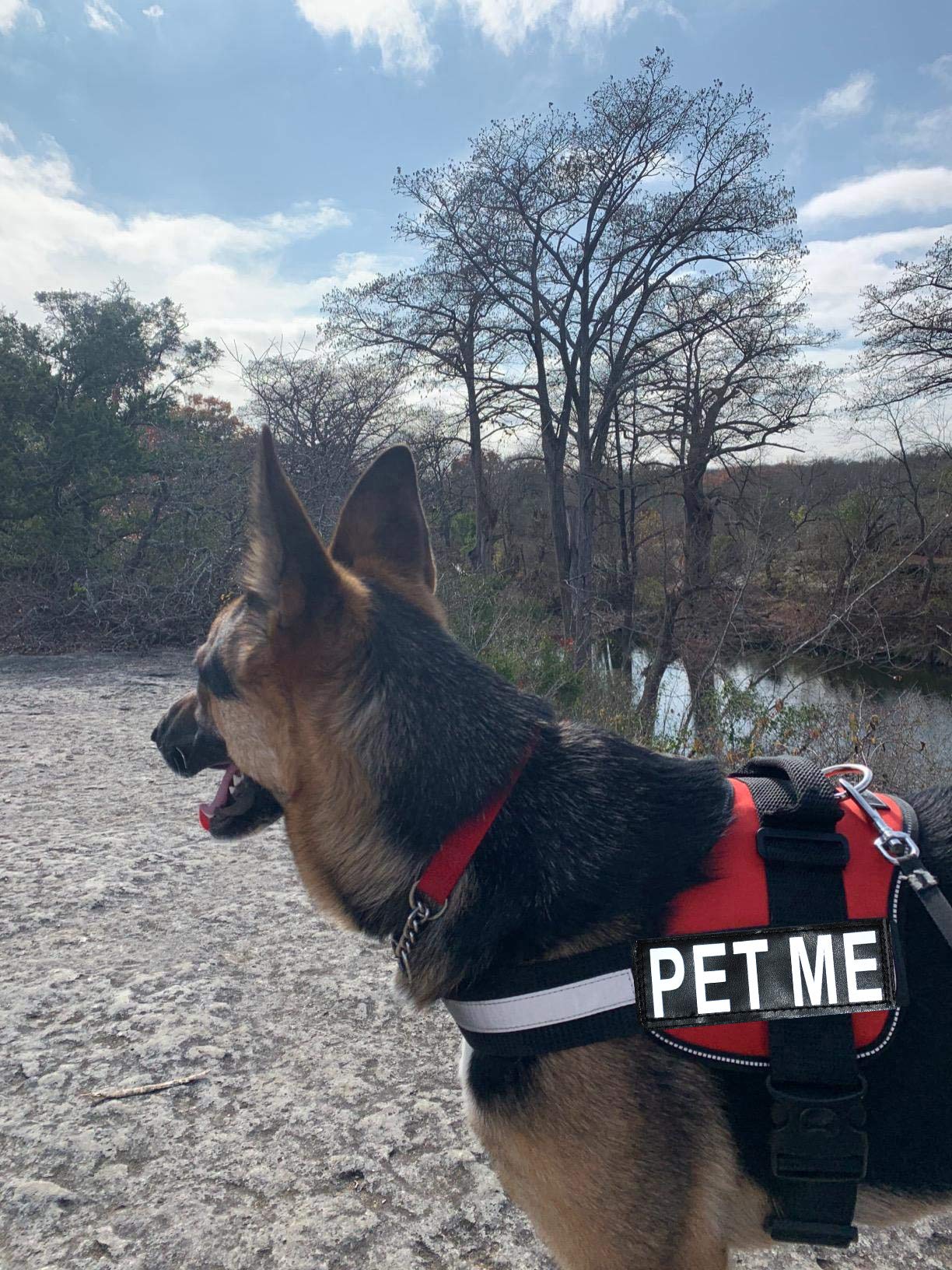 Doggie Stylz Adjustable Dog Harness with Removable Patches & Reflective Trim - Includes 2 PET ME Hook & Loop Patches (19