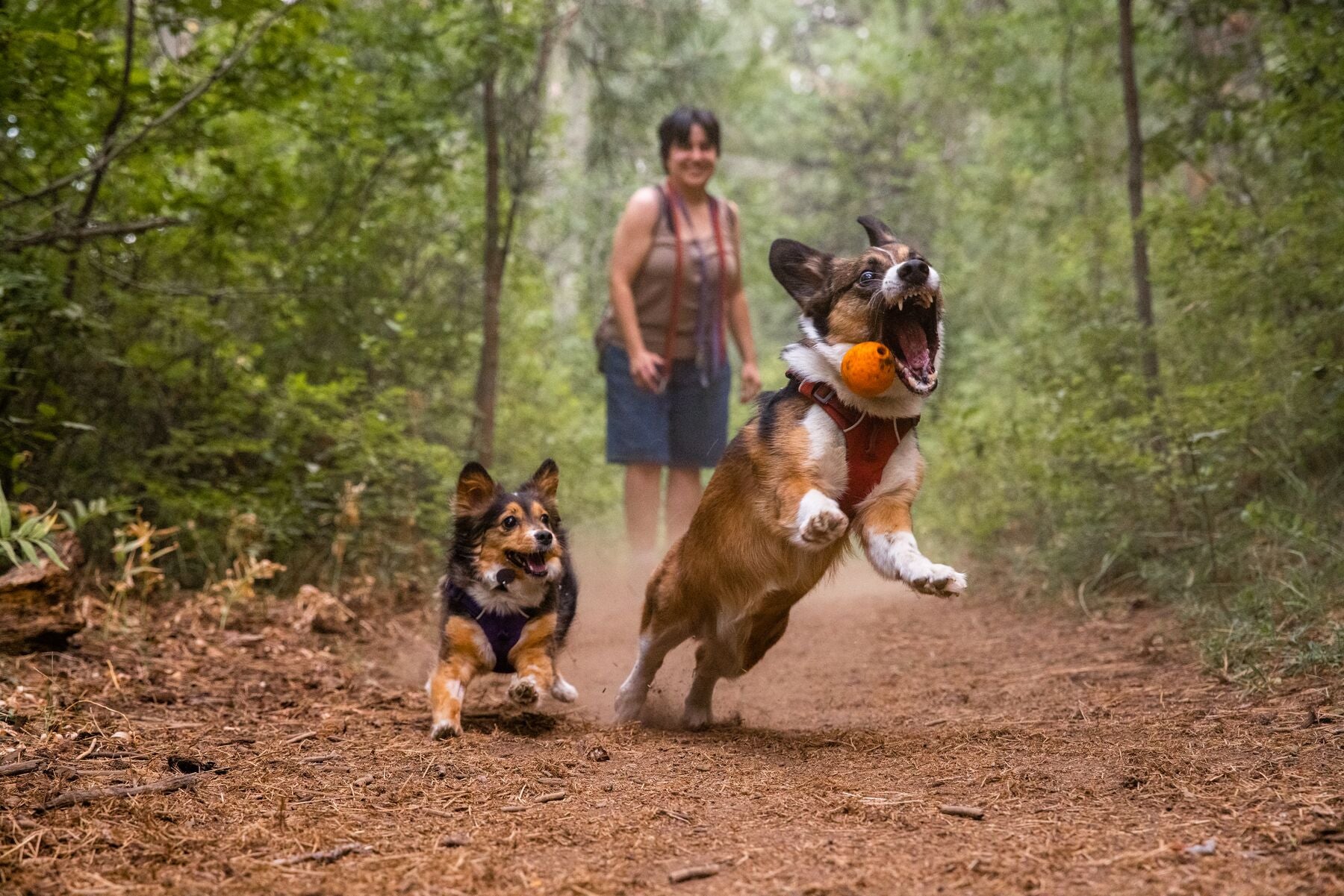 Ruffwear® Turnup® Fetch Ball for Dogs - Campfire Orange Durable Chew Toy for Outdoor Play, Training & Water Fun