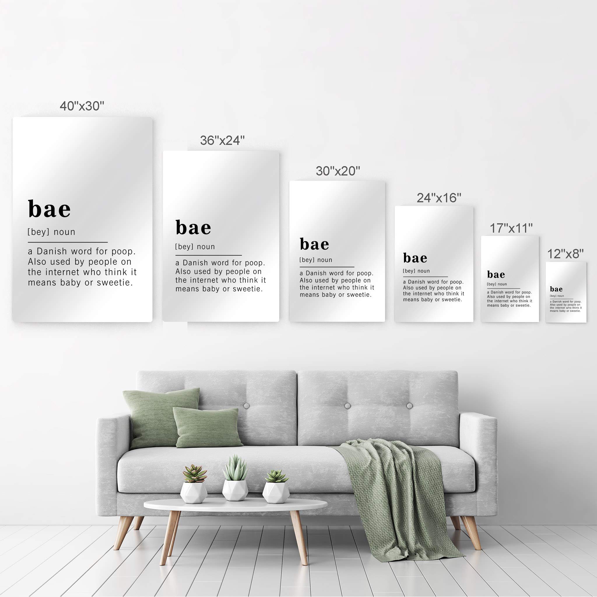 Funny Noun Dictionary Definition of Bae Metal Print - Inspirational Quote Sign for Office, Living Room, Bedroom & Bathroom - Ready to Hang Wall Art Home Decor - Made in USA (40x30 Inches) - Perfect Gift for Couples & Funny Home Decor
