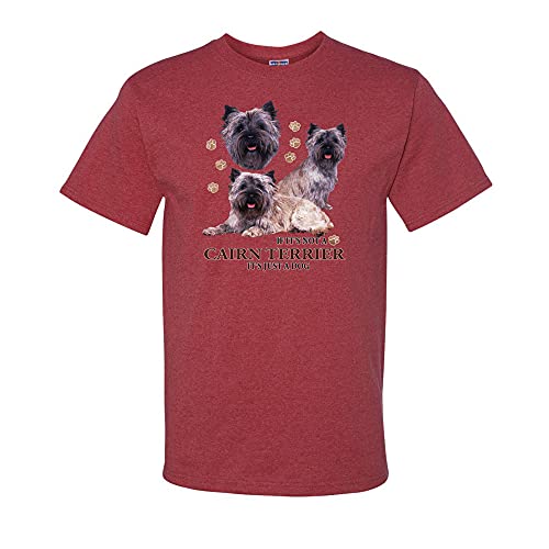 Vintage Heather Red