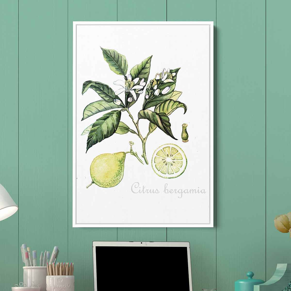 Green Citrus Wall Art Canvas Print - Modern Home Decor for Living Room, Bedroom & Office - 5643